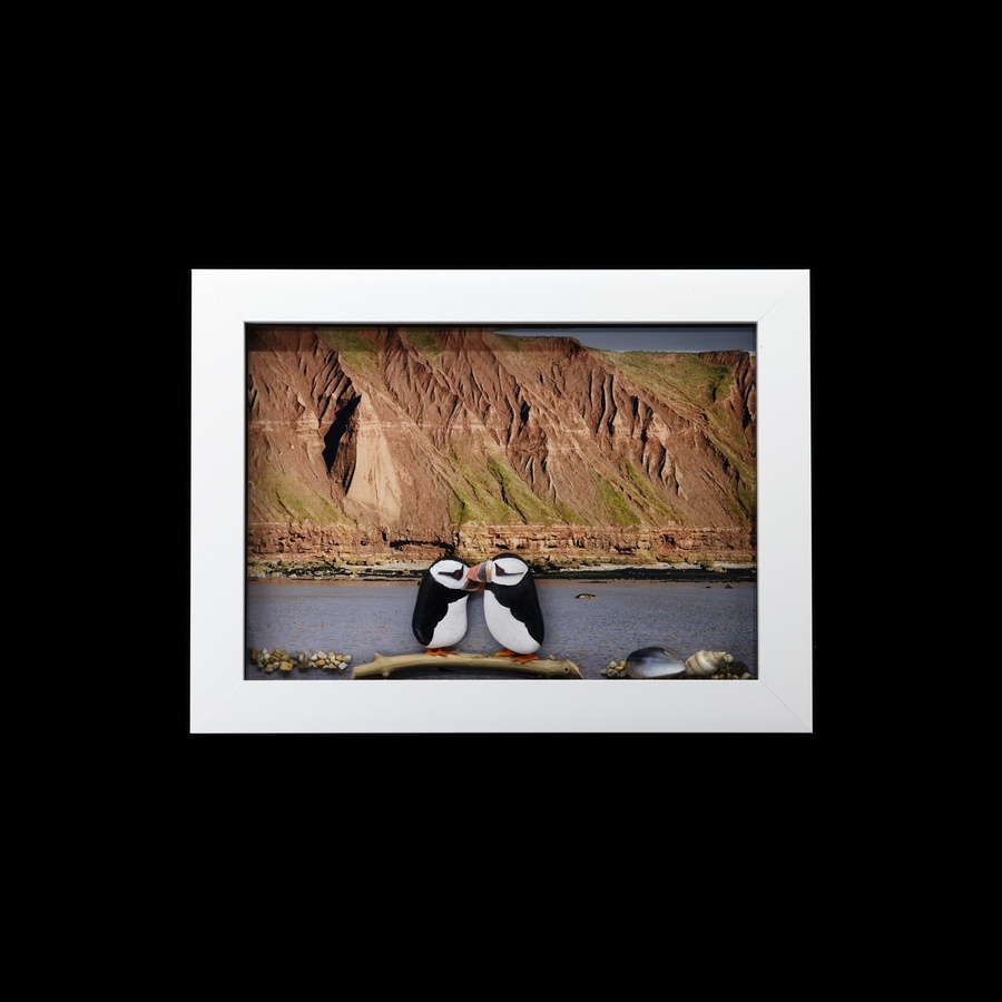 3D Puffins On Tour: Filey Brigg