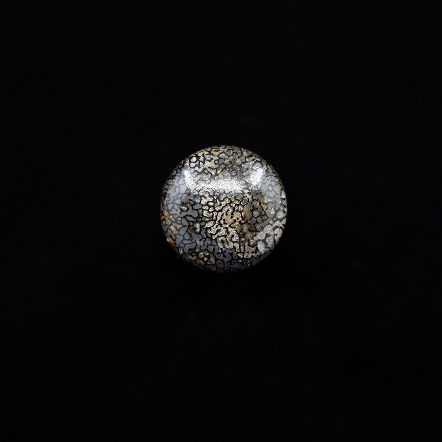 Dinosaur Bone Round Cabochon