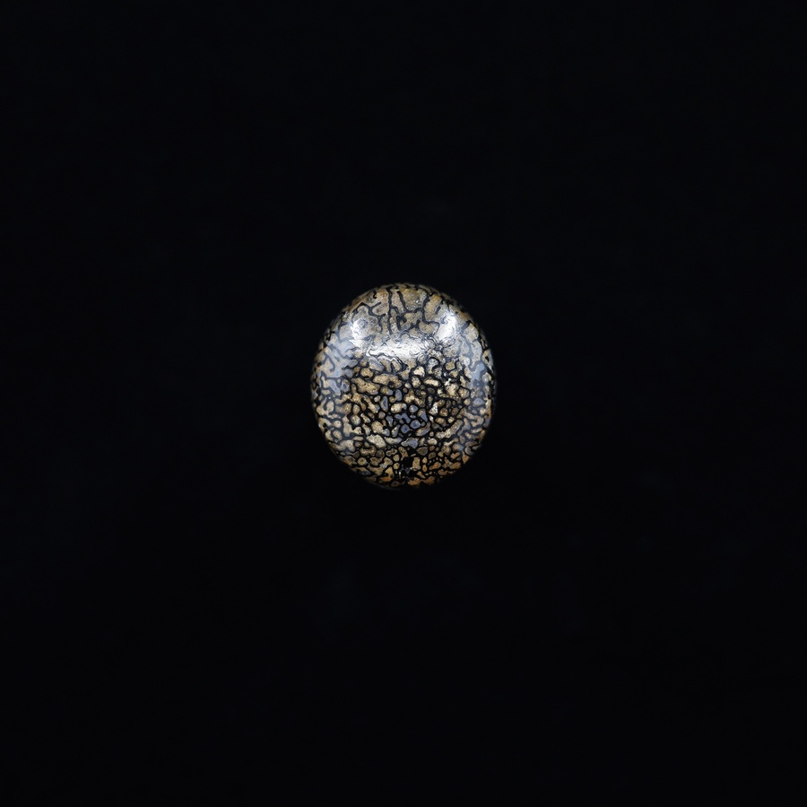 Dinosaur Bone Oval Cabochon