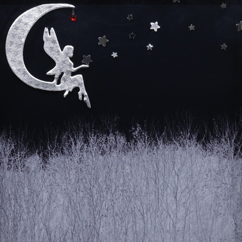 Fairy In The Night Sky 3D Picture