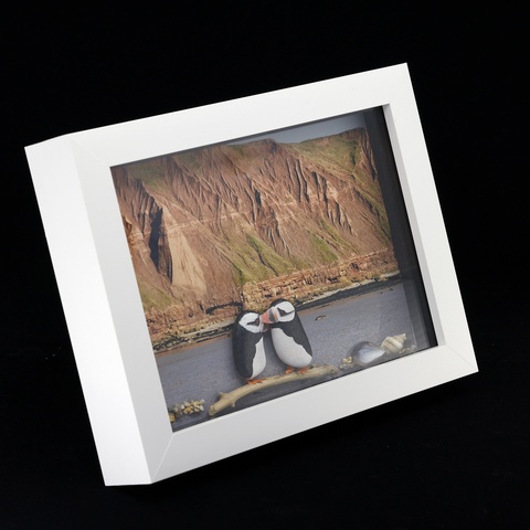 3D Puffins On Tour: Filey Brigg