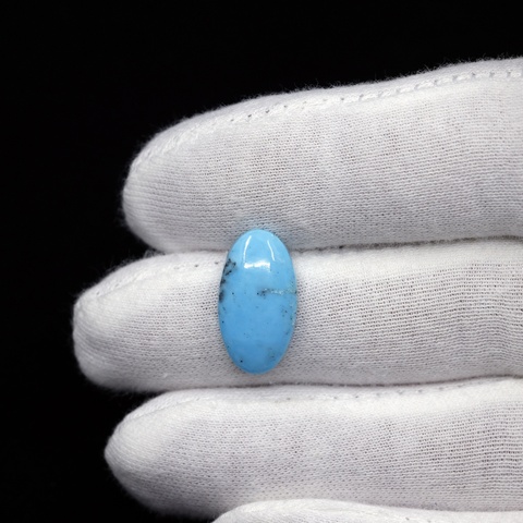 Campitos Turquoise Oval Cabochon