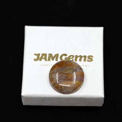 Laguna Moss Agate Round Cabochon