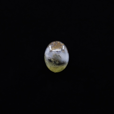 Laguna Moss Agate Oval Cabochon