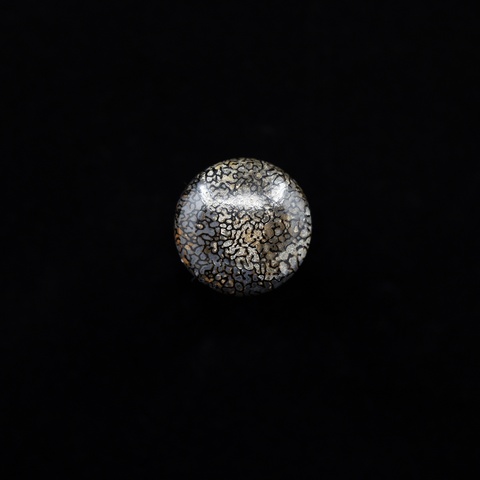 Dinosaur Bone Round Cabochon