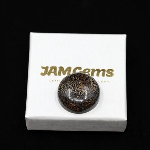 Dinosaur Bone Round Cabochon