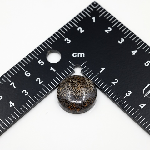 Dinosaur Bone Round Cabochon
