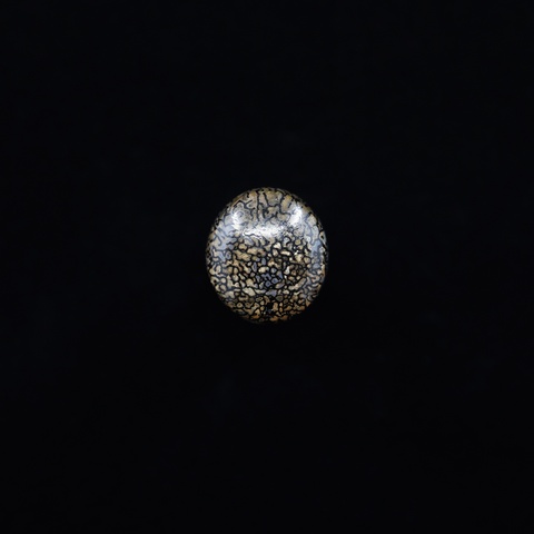Dinosaur Bone Oval Cabochon