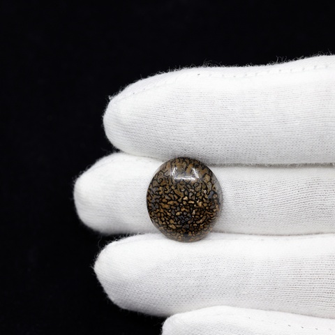 Dinosaur Bone Oval Cabochon