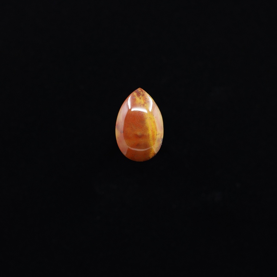 Petrified Wood Teardrop Cabochon