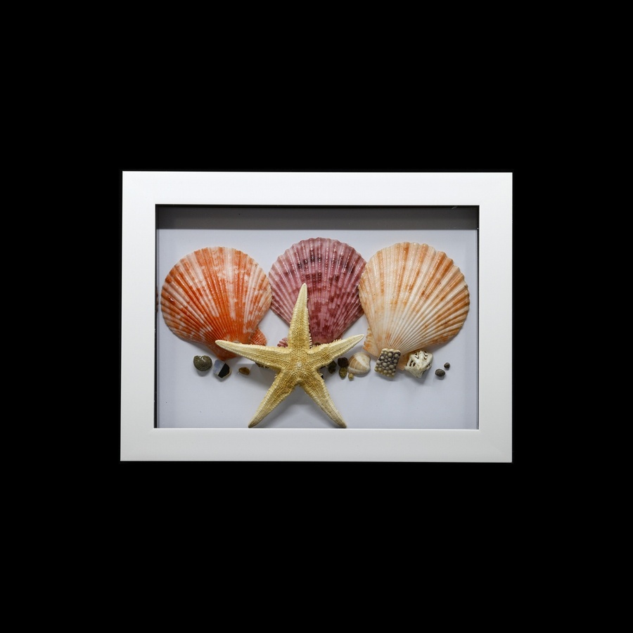 Starfish & Seashells 3D Picture