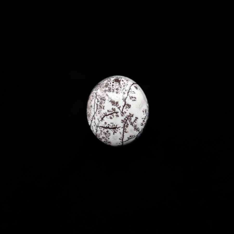 Sonoran Dendritic Rhyolite Oval Cabochon