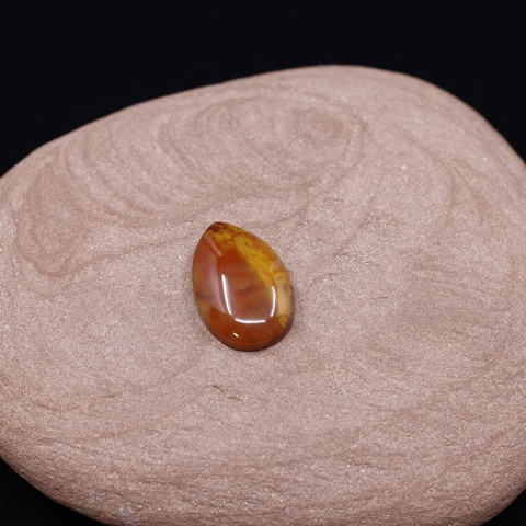 Petrified Wood Teardrop Cabochon