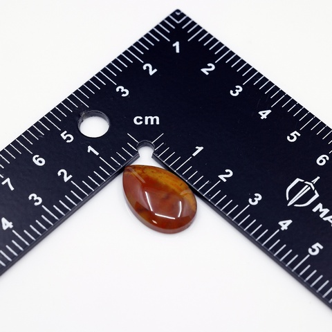 Petrified Wood Teardrop Cabochon