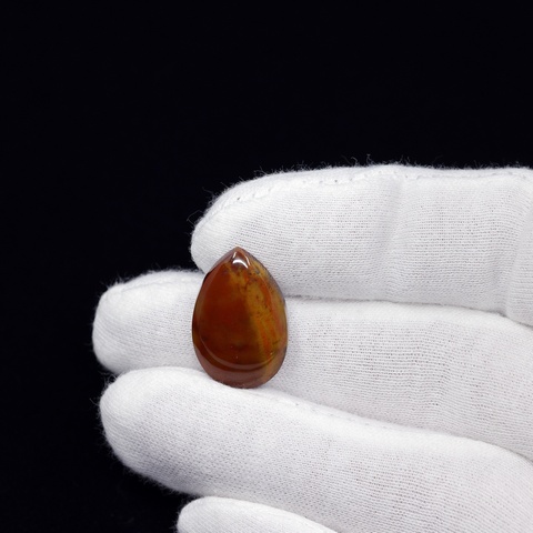 Petrified Wood Teardrop Cabochon