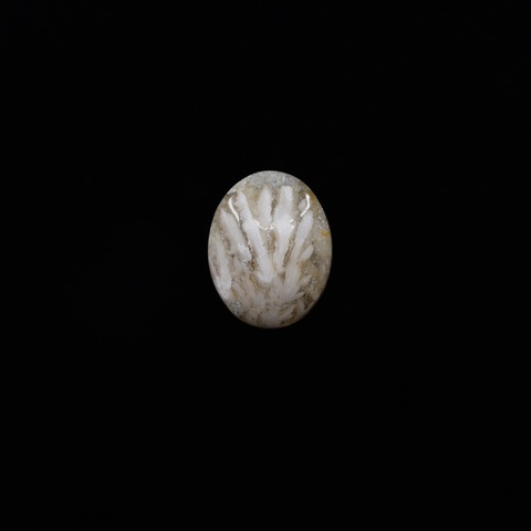 Snowflake Laguna Oval Cabochon