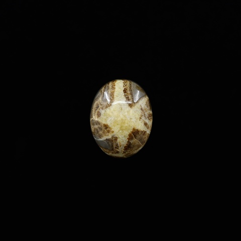 Septarian Nodule Oval Cabochon