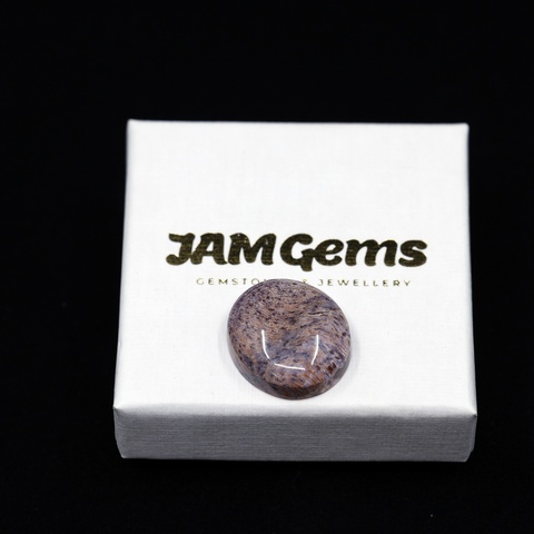 Sagenitic Coral Oval Cabochon