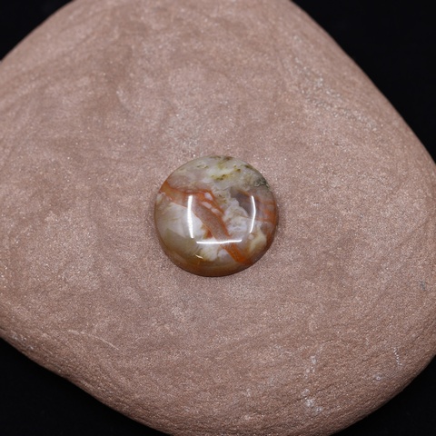 Coprolite Round Cabochon