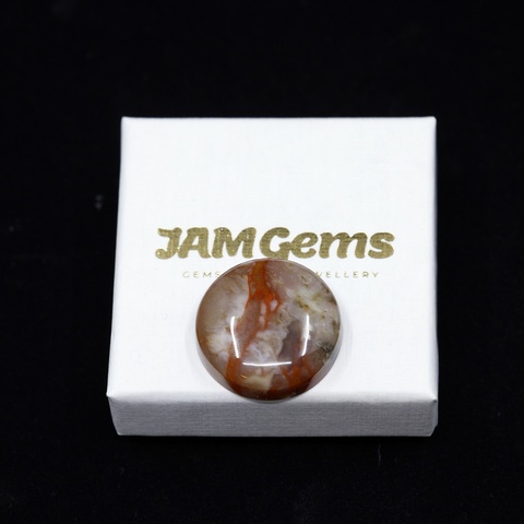 Coprolite Round Cabochon