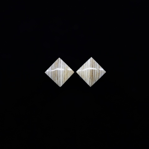 Opalised Wood Earring Pair
