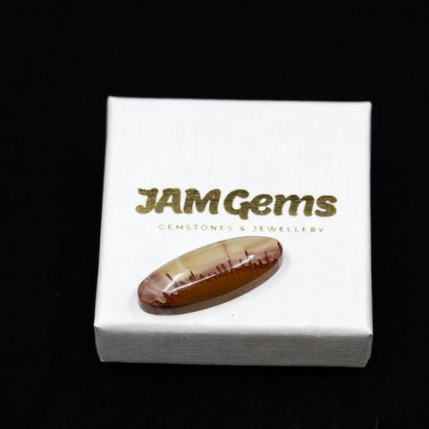 Red Falcon Jasper Long Oval Cabochon