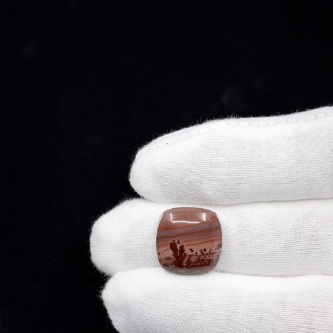 Apache Canyon Cushion Cut Cabochon